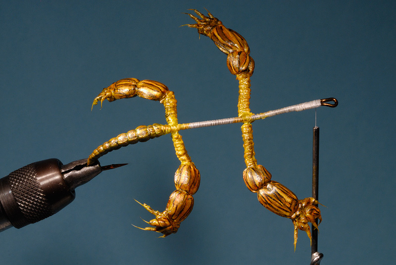 Thin foam strips are tied on top as well as underneath to shape the legs