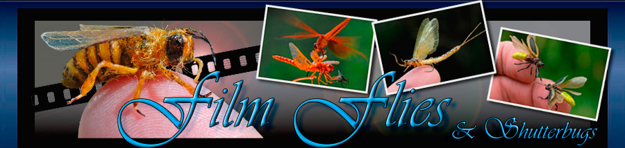 Film Flies & Shutterbugs