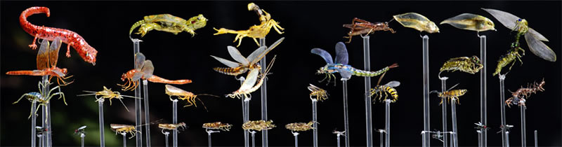 display of realistic bugs and other small creatures suitable for use as props