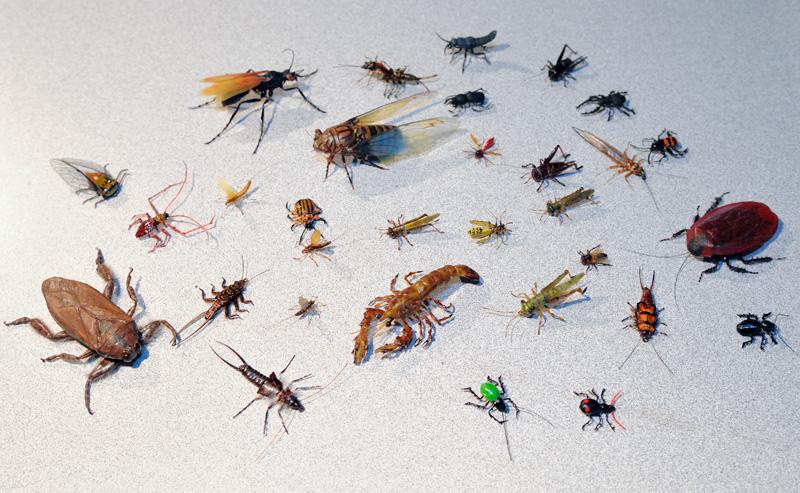 amazing collection of realistic insects and other creatures
