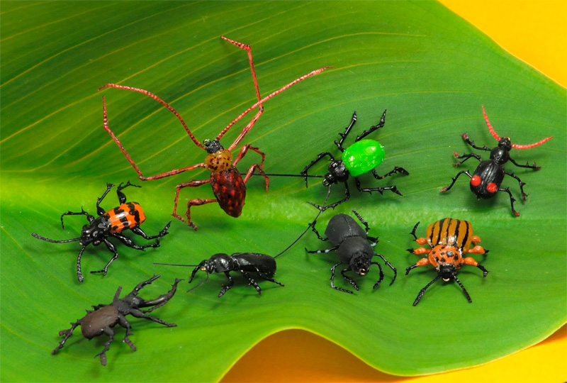 Adrian Garcia Beetles