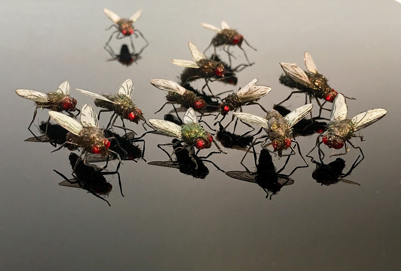 swarm of realistic housefly props