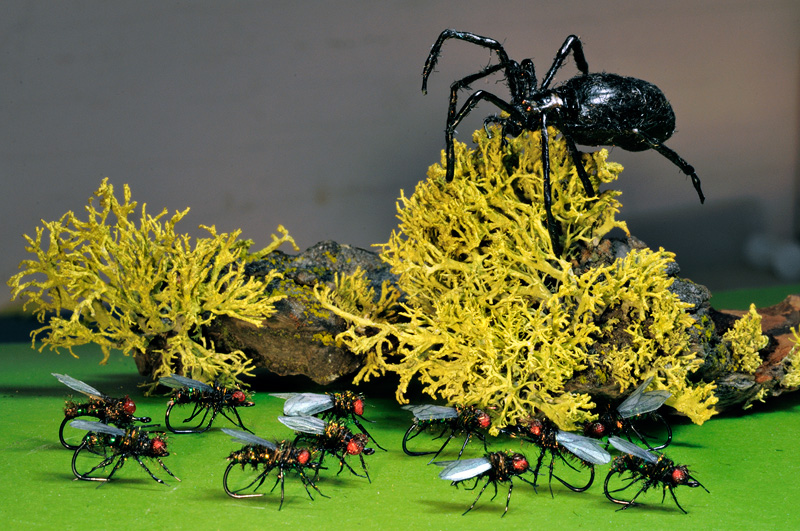 Spider for the movie Salt and flies for the TV show Breaking Bad