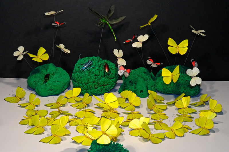 more yellow butterfly replicas