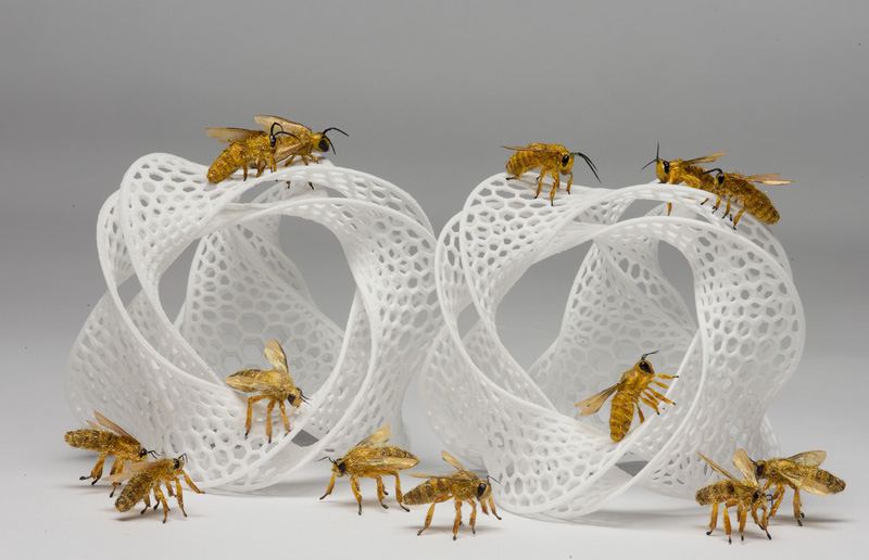 Artificial honeybee replica props